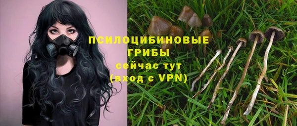 a pvp Аркадак